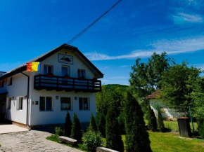 Отель Casa Ghica  Valea Sălciilor